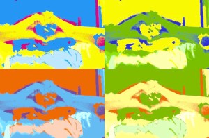 Picture of Roshaunda's hands held together to create a heart.  The picture is divided into 4 different colored squares, using a pop art effect.