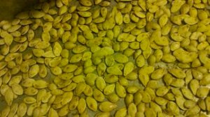 Pumpkin seeds roasted with sea salt and cinnamon