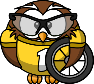 Cartoon owl holding a bike wheel by OpenClipartVectors on Pixabay at https://pixabay.com/en/owl-animal-bicycle-bike-bird-158413/
