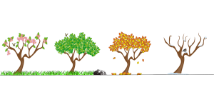 Four seasons trees image by OpenClipartVectors on Pixabay at https://pixabay.com/en/seasons-four-seasons-tree-nature-158601/