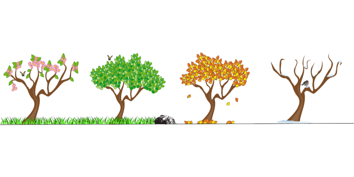 seasons-158601_1280