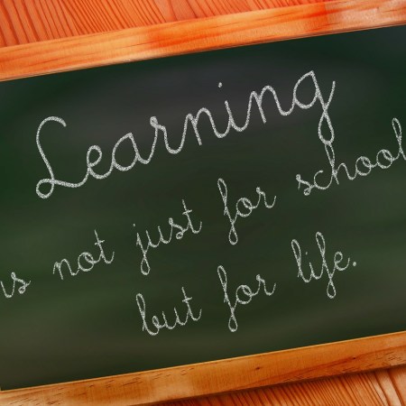 Chalkboard that reads "Learning is not just for school, but for life" by geralt on Pixabay at https://pixabay.com/en/school-black-green-may-refer-to-73497/