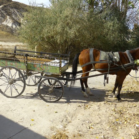 horse drawn wagon by LoggaWiggler on Pixabay at https://pixabay.com/en/coach-horse-drawn-carriage-horse-64609/