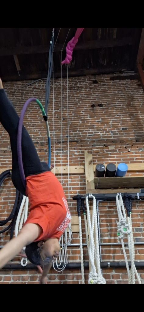 I'm wearing a red tshirt and black leggings. I'm upside down on the lyra, balancing on the bottom of the lyra with my lower back. My torso is on one side of the lyra with my head toward the mat on the floor, and my legs are on the other side of the lyra with my feet toward the ceiling.